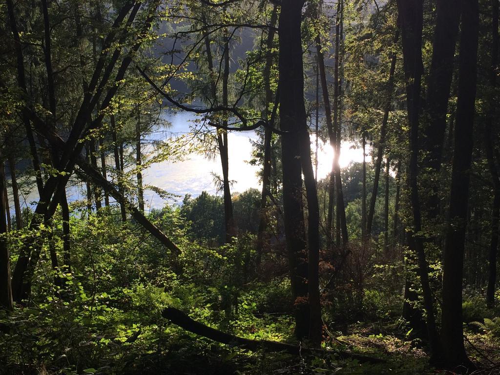 Landhaus Waldrand Biersdorf am See Bagian luar foto